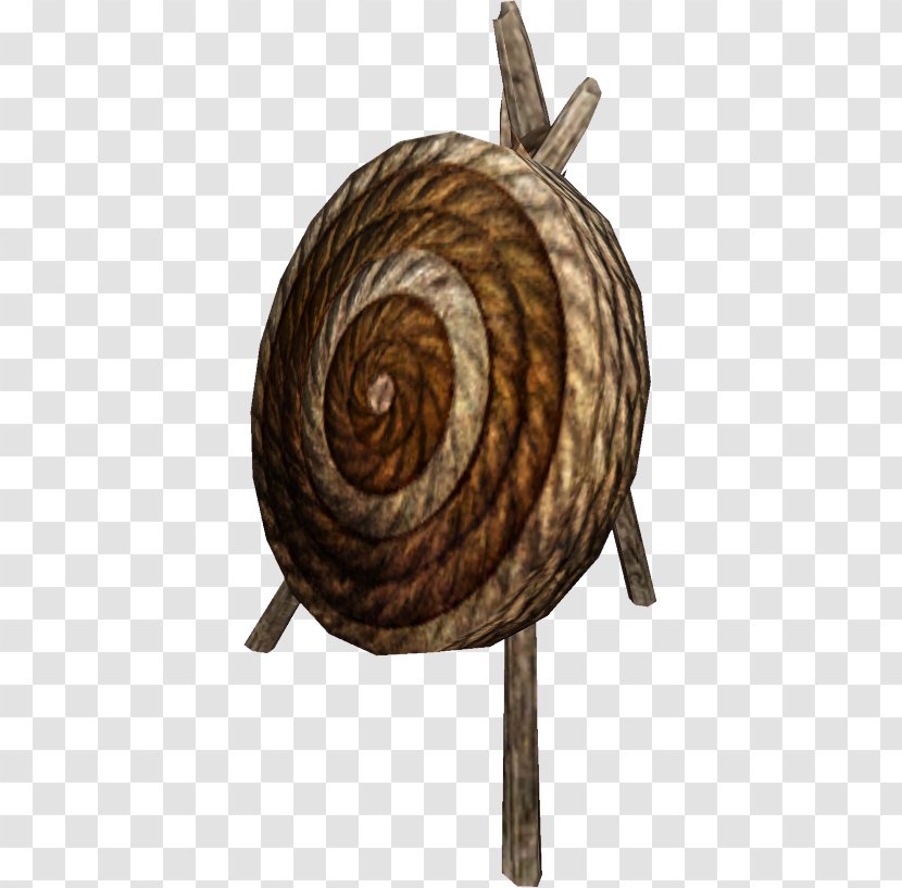 Snail - Snails And Slugs Transparent PNG