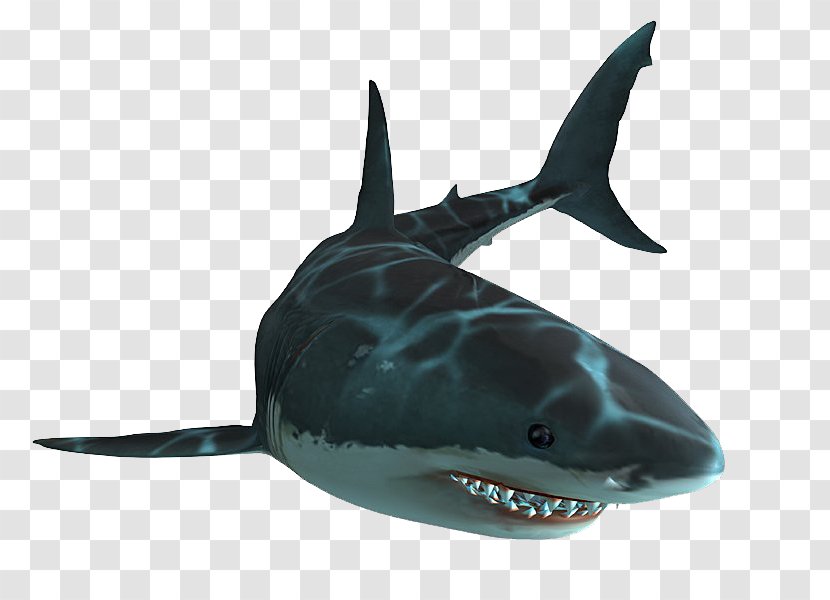 Jaws Unleashed Shark PlayStation 2 Great White - Youtube - Sharks Transparent PNG