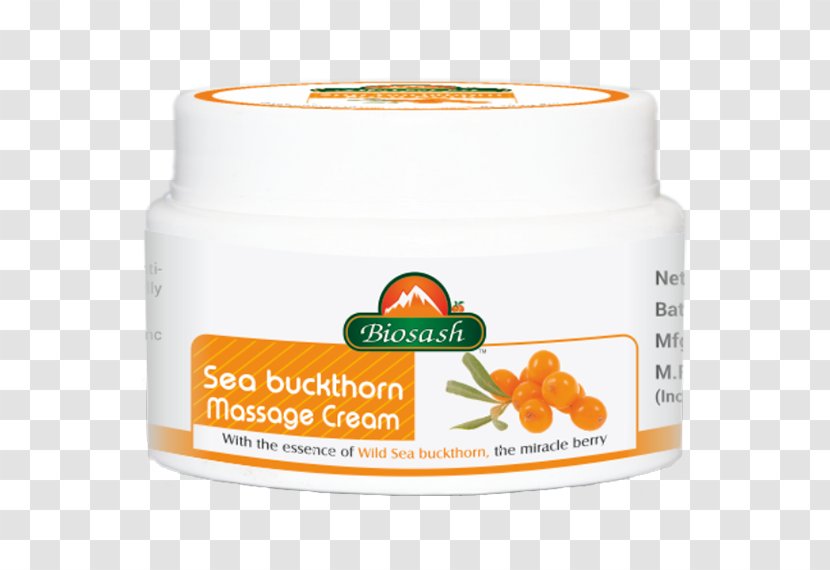 Cream Sea Buckthorns - Buckthorn Transparent PNG