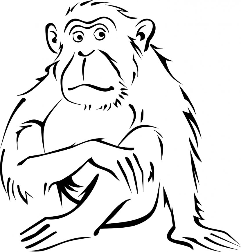 Monkey Coloring Book Drawing Black-and-white Colobus Clip Art - Flower Transparent PNG