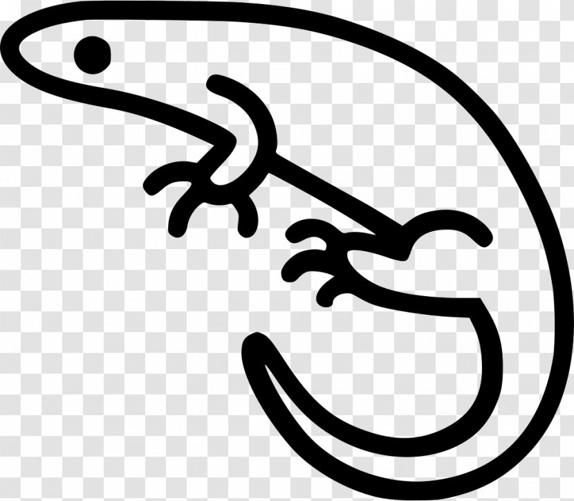 Clip Art The Noun Project Terrarium Image - Dribbble - Salamander Transparent PNG