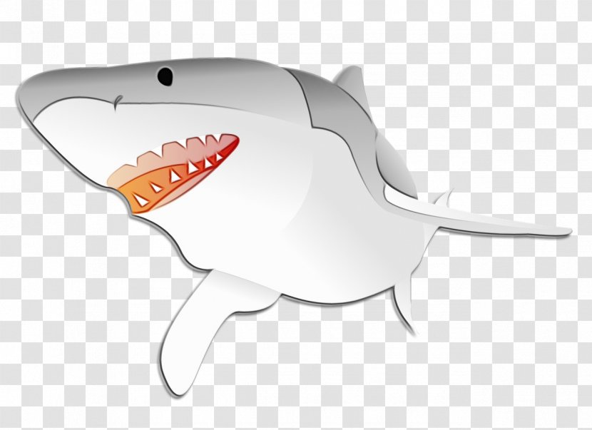 Great White Shark Background - Tiger - Tooth Requiem Transparent PNG