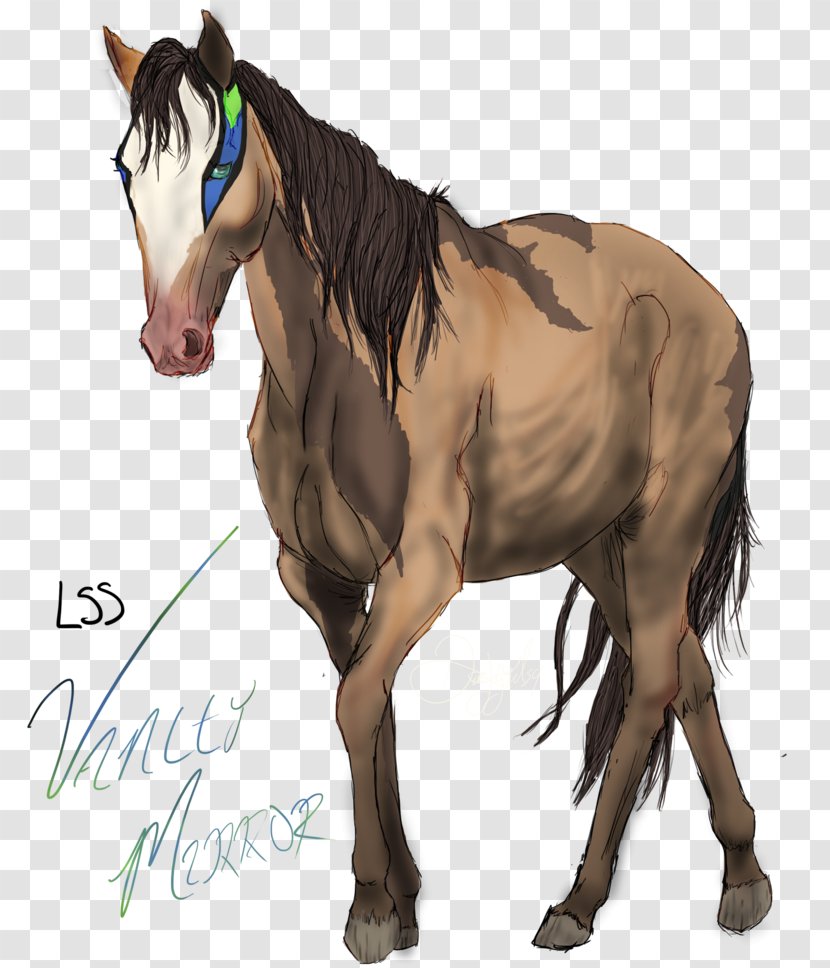 Mane Mustang Foal Stallion Colt - Vanity Mirror Transparent PNG