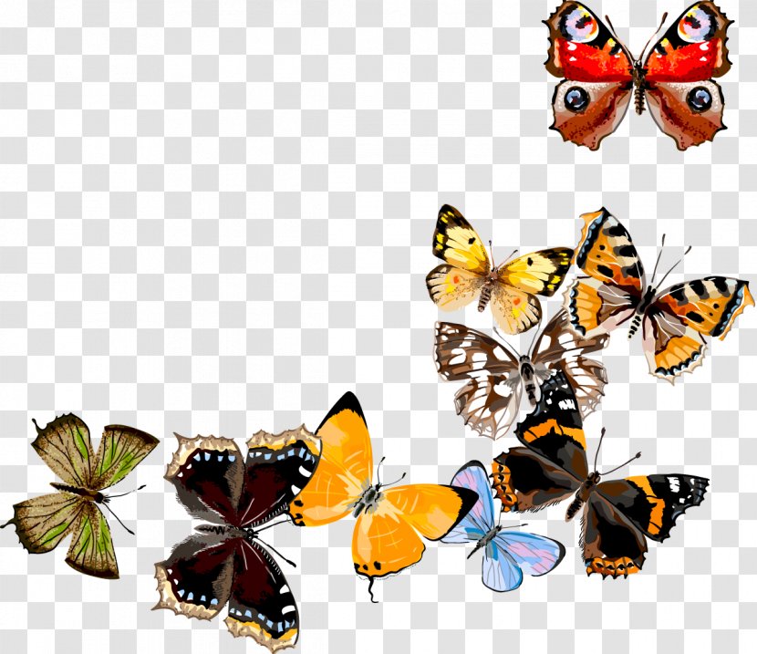 Butterfly Digital Art - Monarch Transparent PNG