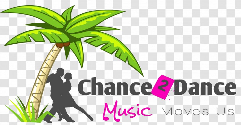 Salsa Chance 2 Dance Bachata Kizomba - Apeldoorn Transparent PNG