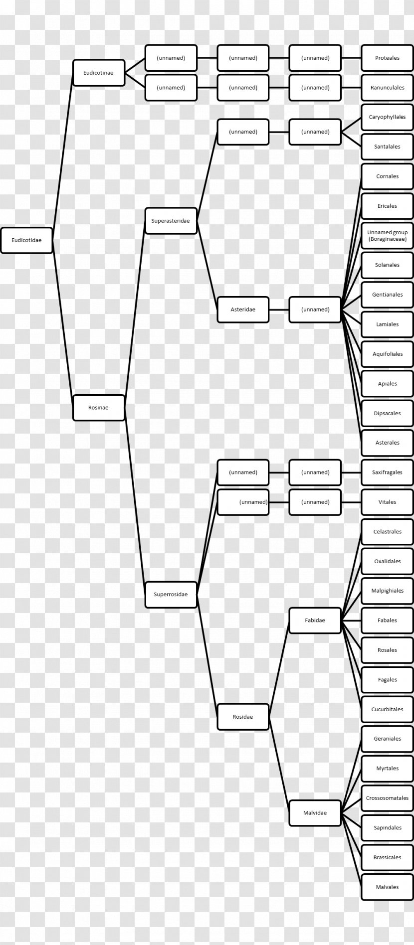 Paper Drawing Point Pattern - Symmetry - Seedpod Of The Lotus Transparent PNG