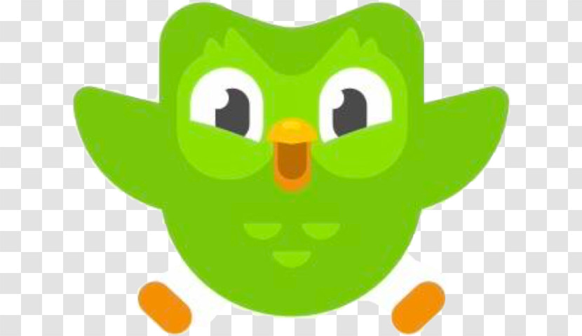Green Cartoon Yellow Owl Bird Transparent PNG