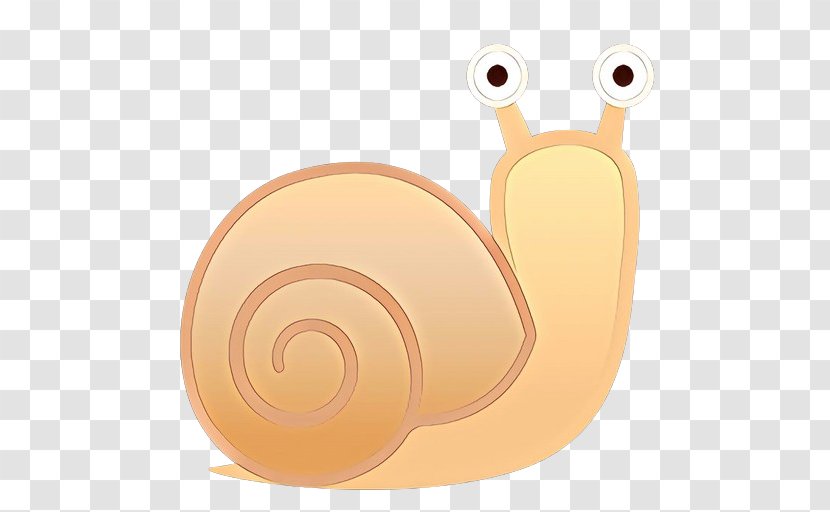 Snail Cartoon - Snails And Slugs - Invertebrate Sea Transparent PNG