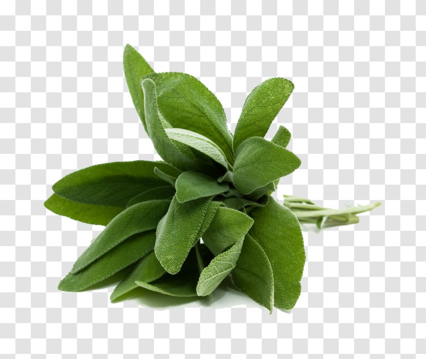French Fries Common Sage Herb Food Basil - Frying Transparent PNG