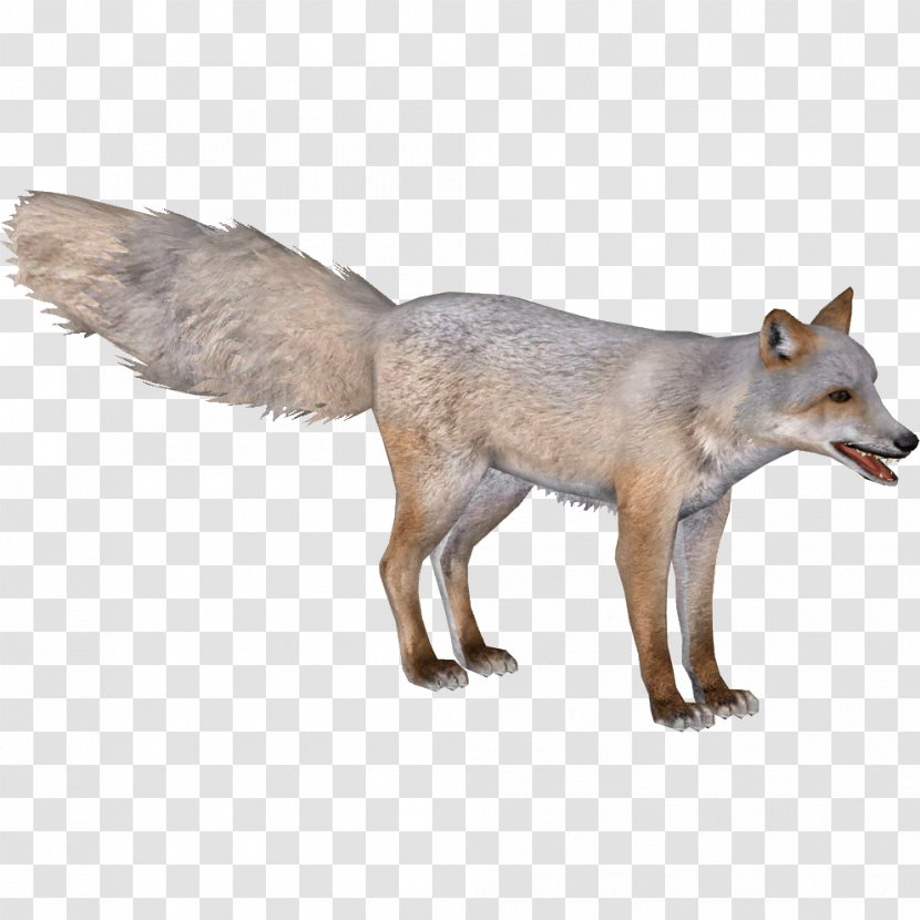 Zoo Tycoon 2 Red Fox Corsac Blanford's Gray Wolf - Snout - Fennec Transparent PNG