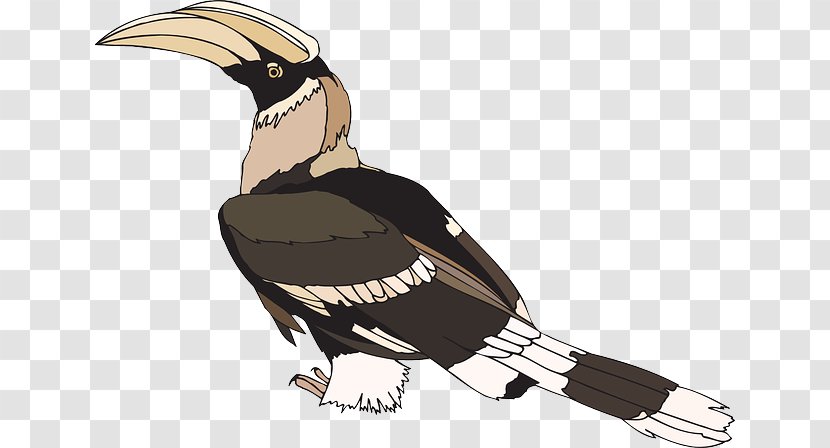 Bird Clip Art Hornbill Openclipart Image - Rhinoceros Transparent PNG