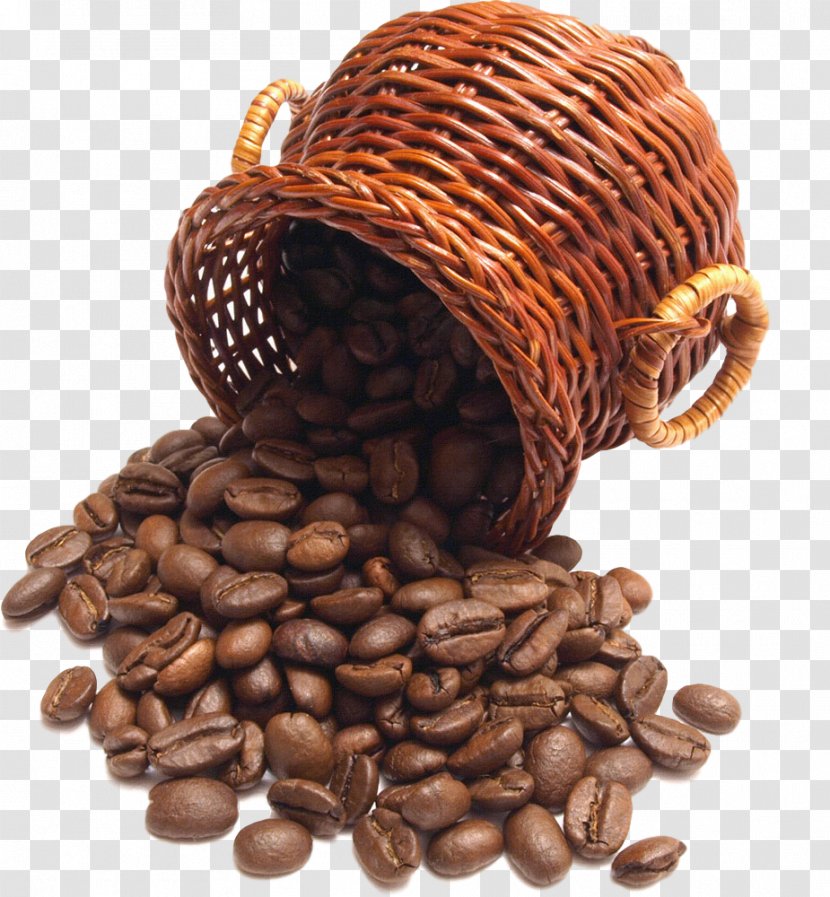 Caffeine Jamaican Blue Mountain Coffee Java Plant Bean - Cocoa - Food Transparent PNG