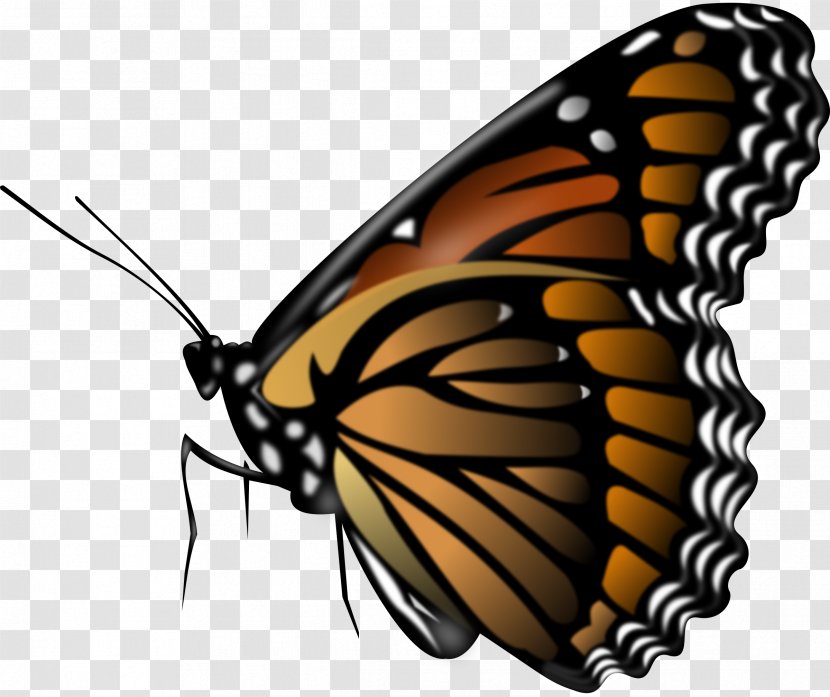 Monarch Butterfly Clip Art Image - Glasswing Transparent PNG