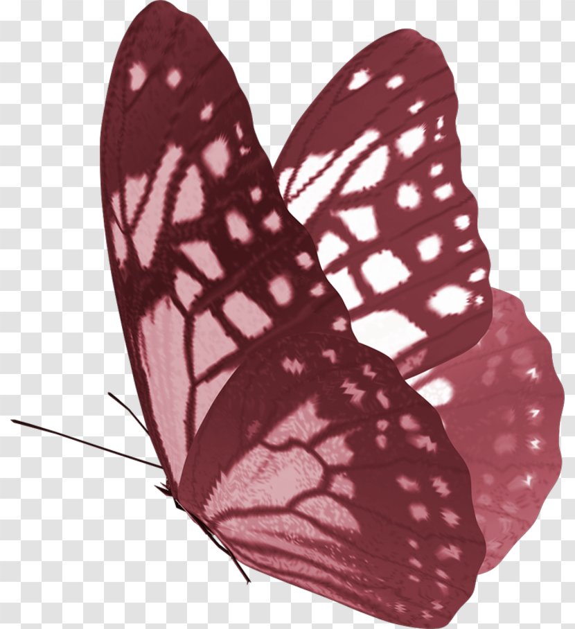 Centerblog Logic Turkey Speech Thought - Moths And Butterflies - Red Butterfly Transparent PNG