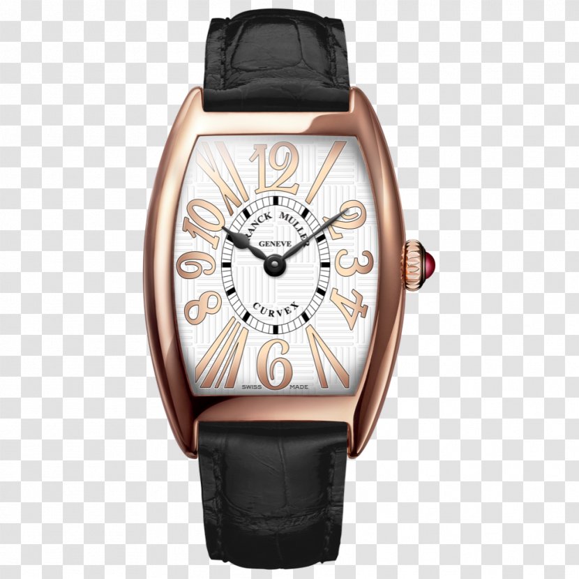 Watch Clock Omega SA Швейцарские часы Alan Furman & Co Transparent PNG