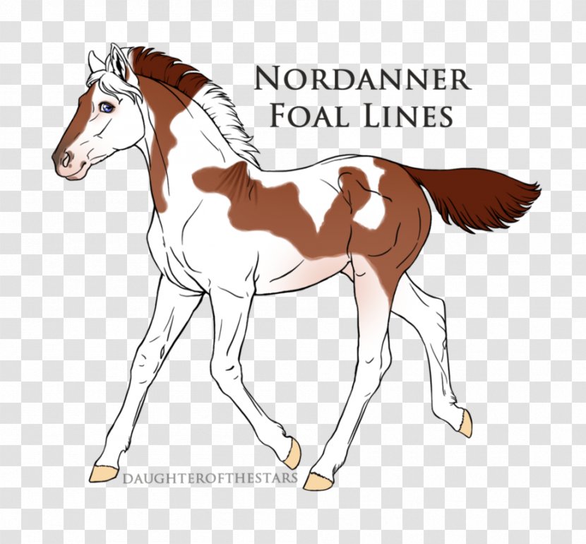 Foal Pony Mustang Mare Stallion - Animal Figure - Wake Up Transparent PNG