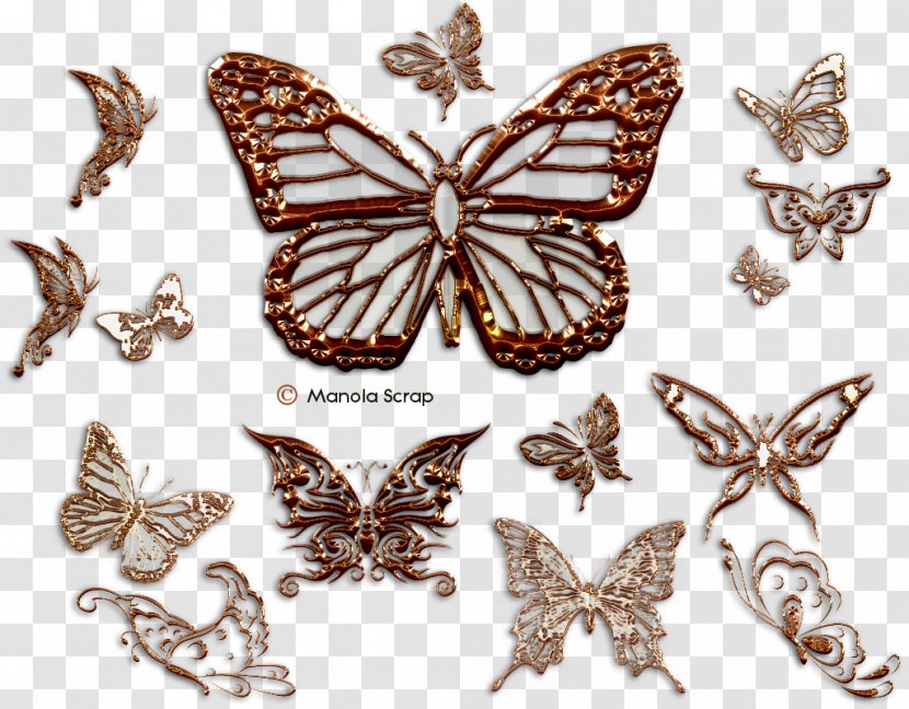 Brush-footed Butterflies Butterfly Moth Insect - Invertebrate Transparent PNG