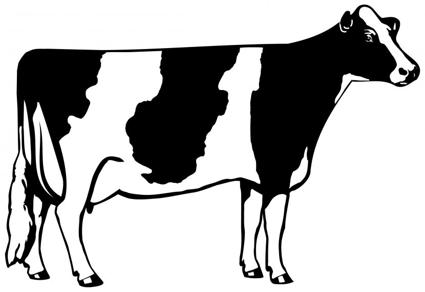 Holstein Friesian Cattle Beef Dairy Clip Art - Oxen - Cow Cliparts Transparent PNG
