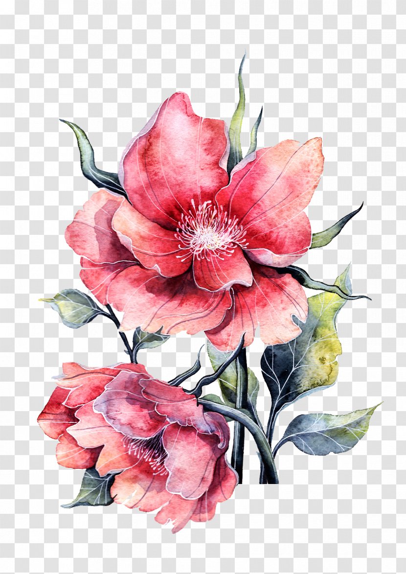 Flower Paper Painting Rose - Floristry - Watercolor Peony In Full Bloom Transparent PNG