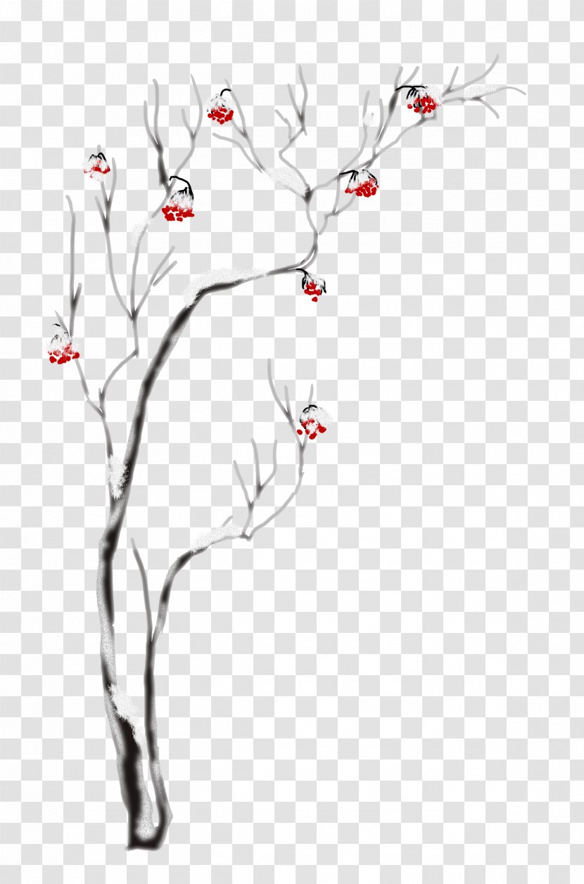 Clip Art Snow Season White Illustration - Wing - Evergreen Branches In Hole Transparent PNG