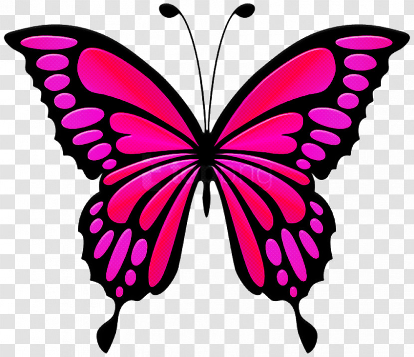 Moths And Butterflies Butterfly Cynthia (subgenus) Insect Pink Transparent PNG