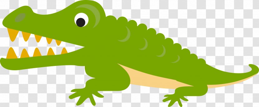 Alligator Crocodile Cartoon Illustration - Photography - Green Vector Transparent PNG