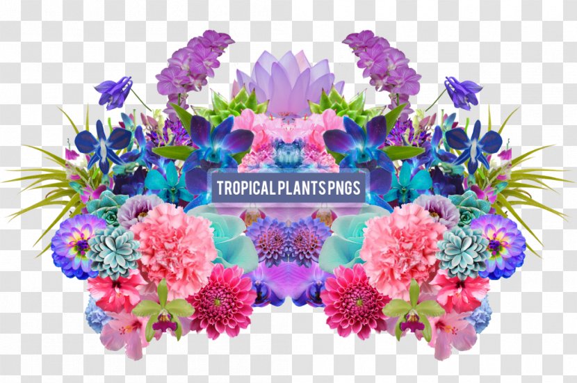 Aesthetics Flower Clip Art - Tropical Transparent PNG