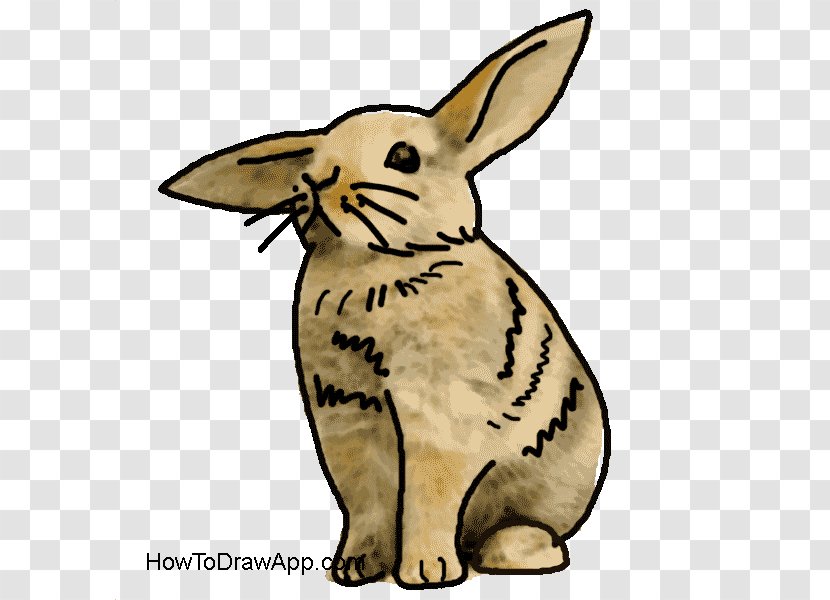 Domestic Rabbit Drawing Painting Hare Cartoon Transparent PNG