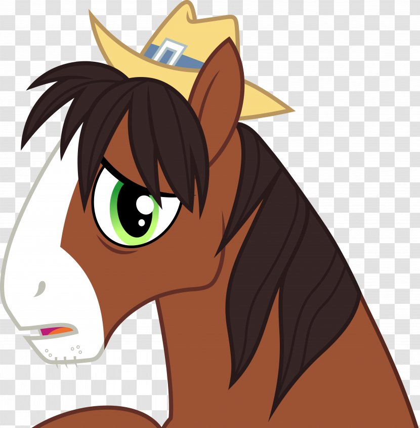 Pony Cat Princess Celestia Apple Bloom Appleoosa's Most Wanted - Cartoon Transparent PNG