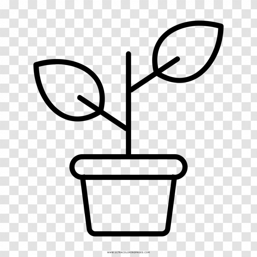 Drawing Plant Coloring Book Clip Art - Flower Transparent PNG