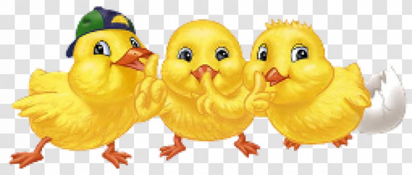 Easter Clip Art Wish Holiday Christmas Day - Beak Transparent PNG