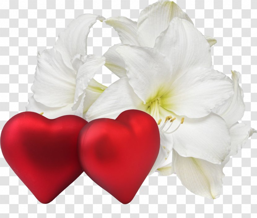 Romance Flower Love Heart Desktop Wallpaper - Lovely Transparent PNG
