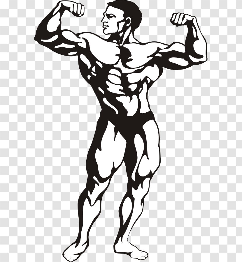 Female Bodybuilding Clip Art - Fictional Character - Fitness Design Cliparts Transparent PNG