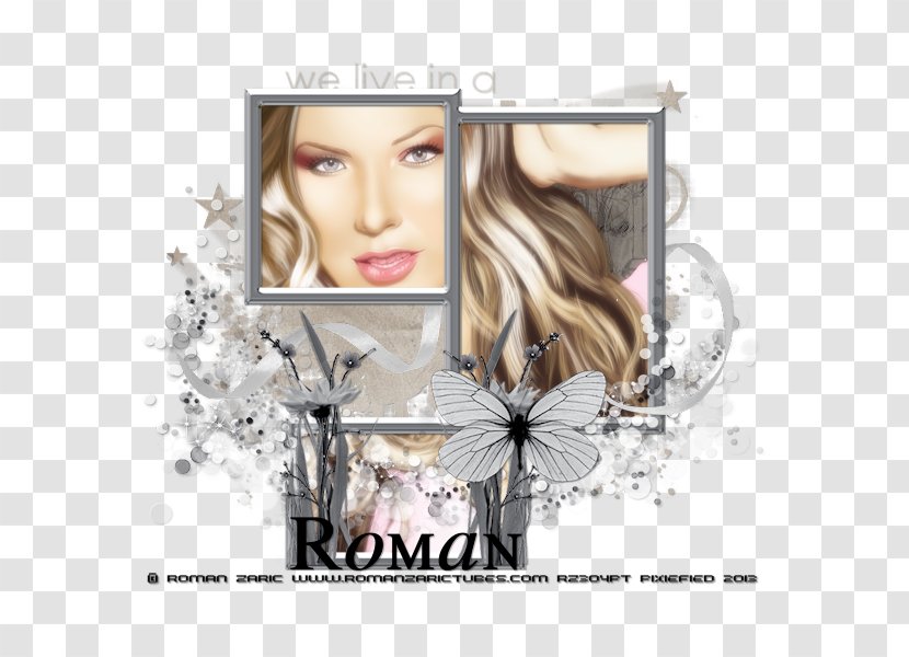 Eyelash Photomontage Hair Coloring Graphics Poster - Face - Barbegal Roman Mill Transparent PNG