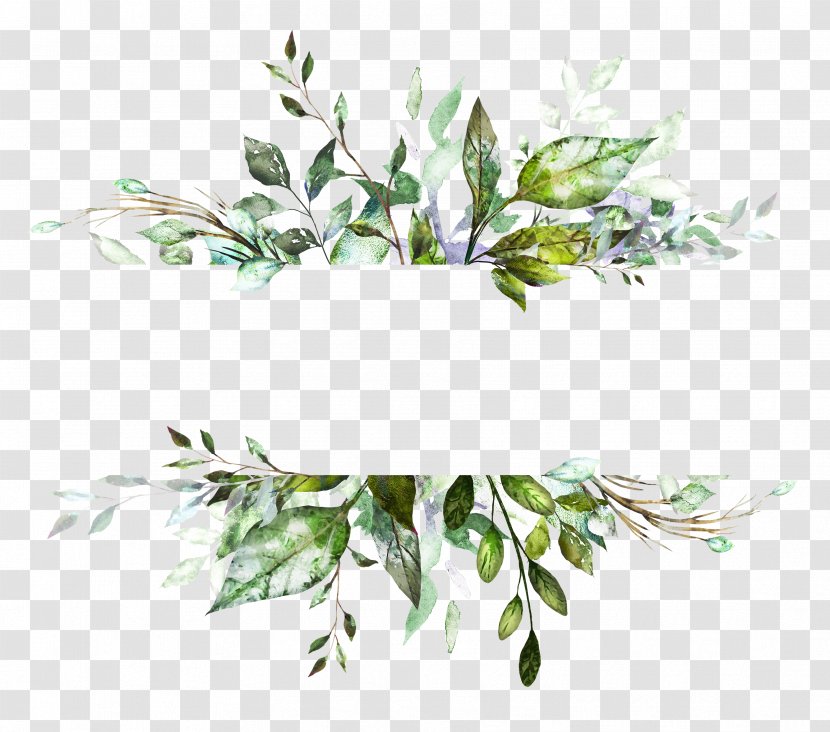 Watercolor: Flowers Watercolor Painting Vector Graphics Illustration Drawing - Leaf Transparent PNG