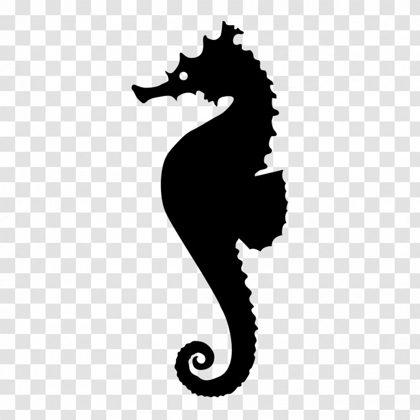 Seahorse Monochrome Photography Syngnathiformes Transparent PNG