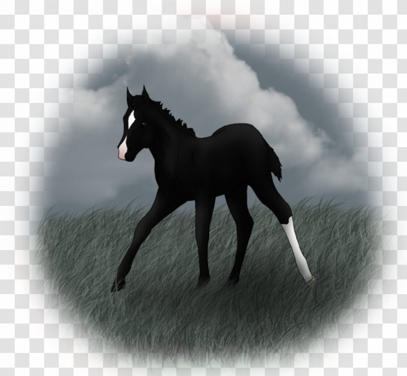 Mustang Foal Stallion Colt Mare - S Manufacturing Company - Neck Bloodstain Transparent PNG