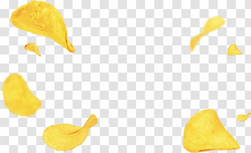 Fish And Chips - Plant - Yellow Transparent PNG