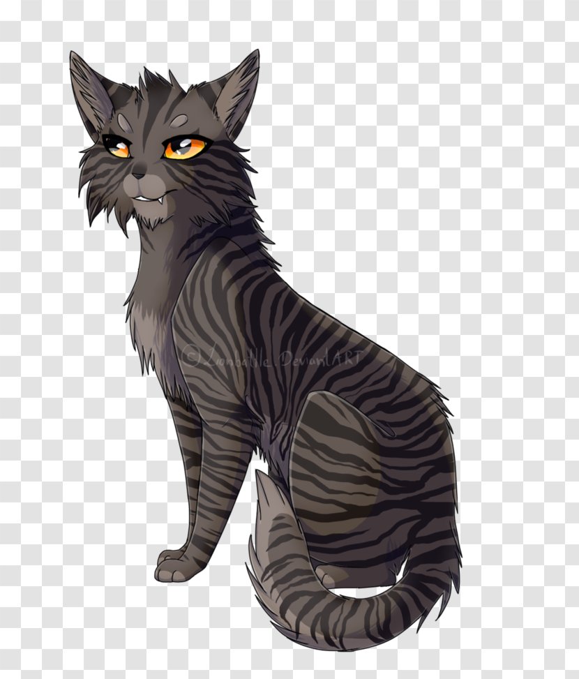 Maine Coon California Spangled American Wirehair European Shorthair Whiskers - Stx Jp50 Risk15rv Nr Eo - Ming Piece Simple Shading Transparent PNG