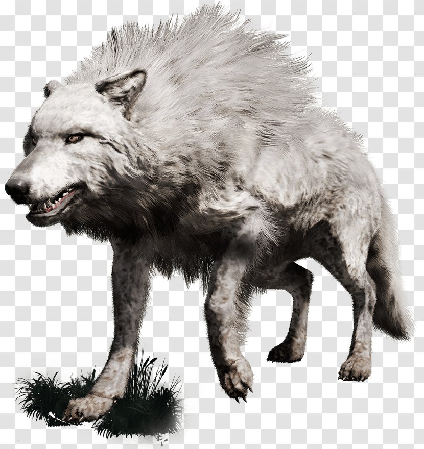 Far Cry Primal Gray Wolf PlayStation 4 Transparent PNG