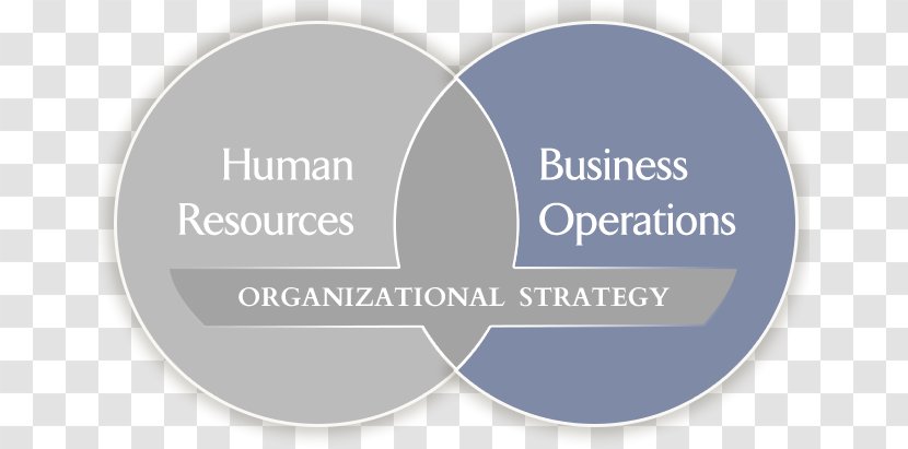 Brand Logo Font Product - Text - Human Organization Transparent PNG
