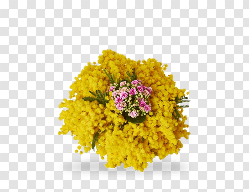 Cut Flowers Acacia Dealbata International Women's Day Floristry - Woman - Festa Della Donna Transparent PNG