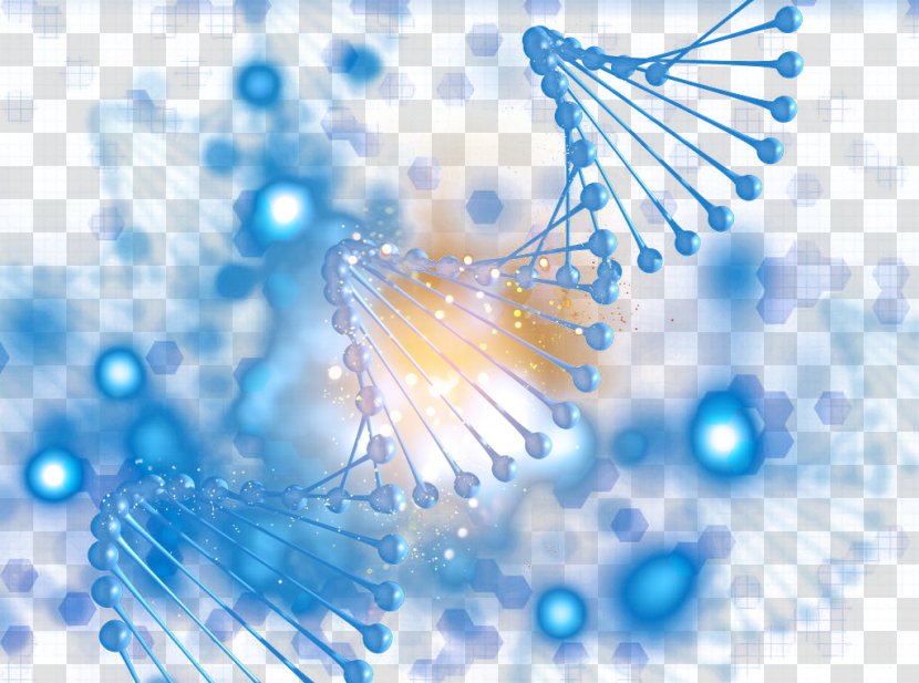 Organism Gene Biology Food Chain - Close Up - Bio-genetic Transparent PNG