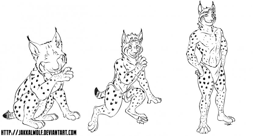 Lynx Cat Animal Dog Drawing - Organism Transparent PNG