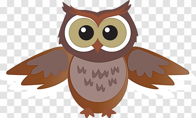 Owl Eastern Screech Owl Bird Cartoon Bird Of Prey Transparent PNG