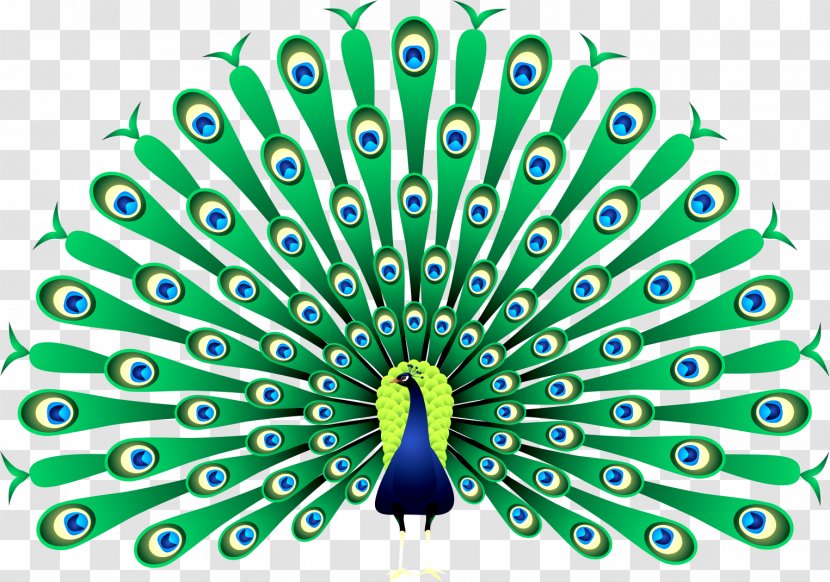 Peafowl Clip Art - Peacock Transparent PNG