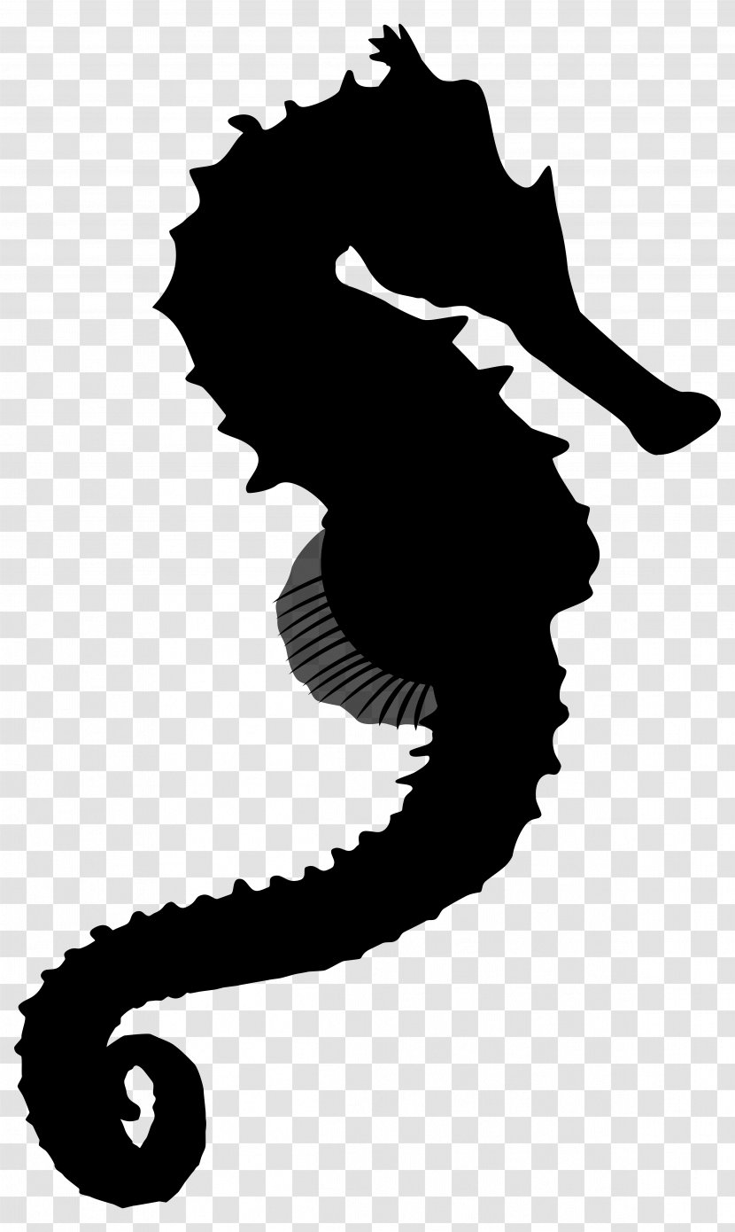 Seahorse Black & White - M - Character Clip Art Silhouette Transparent PNG
