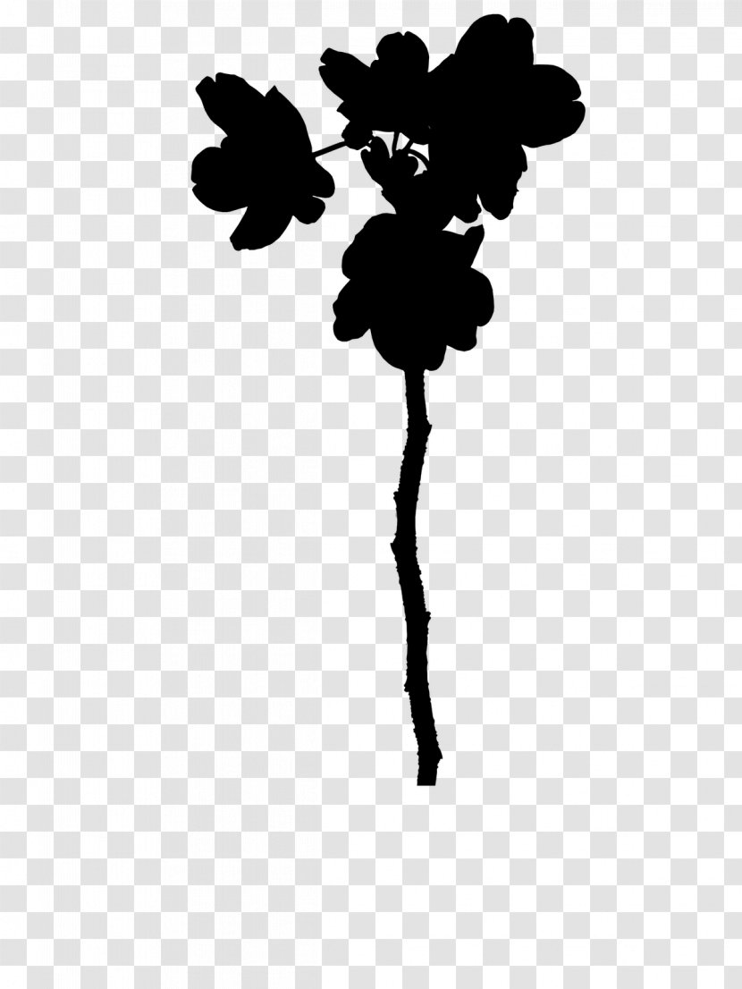 Twig Plant Stem Flower Leaf Silhouette - Vitis Transparent PNG