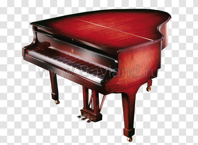 Digital Piano Player Electric Spinet - Fortepiano Transparent PNG