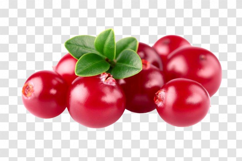 Cranberry Barbados Cherry Zante Currant Lingonberry Huckleberry - Tree Transparent PNG